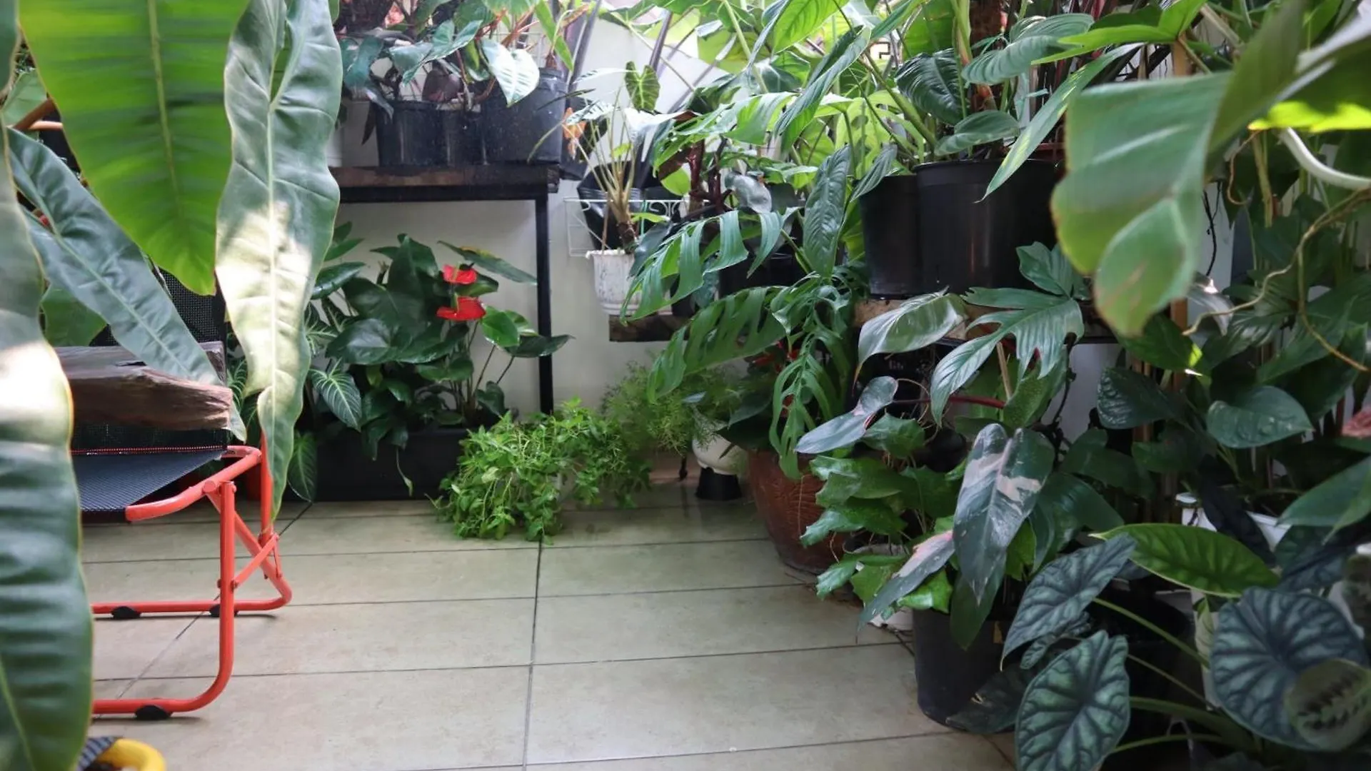 Auberge de jeunesse Amango Dorm à Hô Chi Minh-Ville Vietnam