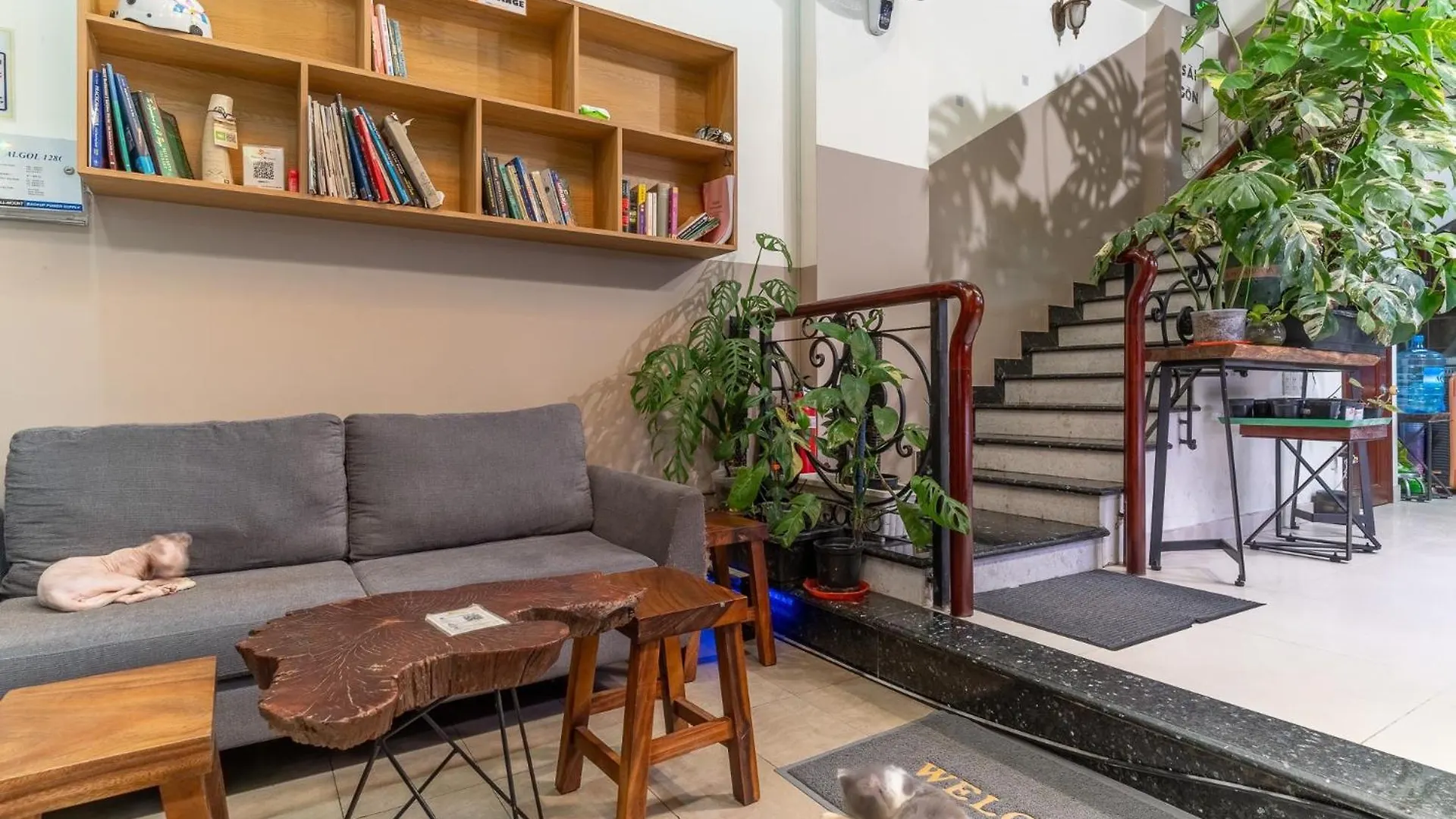 Auberge de jeunesse Amango Dorm à Hô Chi Minh-Ville